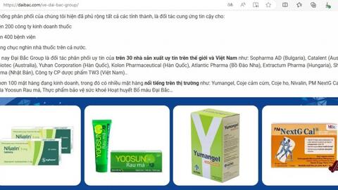 Dữ liệu về "ông lớn" kín tiếng ngành Dược - Đại Bắc Group