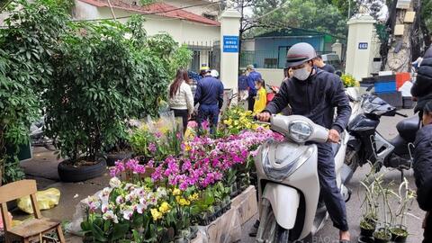 Giá bán gấp đôi ngày thường, hoa lan xuống phố cận Tết đắt khách