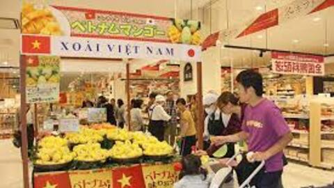 Doanh nghiệp cần chủ động mở rộng hệ thống phân phối hàng hóa ra nước ngoài