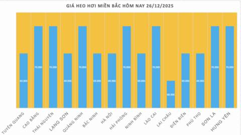 Giá heo hơi hôm nay 26/12/2025: Biến động trái chiều