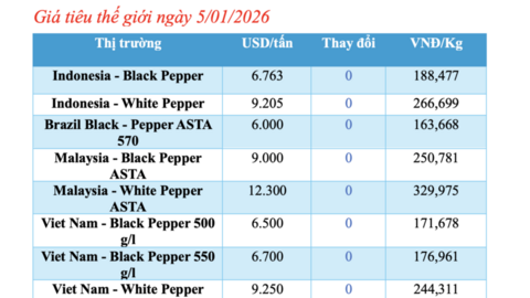 Giá tiêu hôm nay 5/1/2026: Thị trường lặng sóng