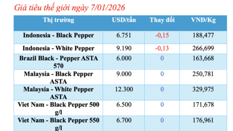 Giá tiêu hôm nay 7/1/2026: Bật tăng mạnh