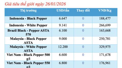 Giá tiêu hôm nay 26/1/2026: Cao nhất 150.000 đồng/kg