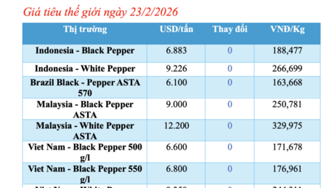 Giá tiêu hôm nay 23/2/2026: Bật tăng 1.000 đồng/kg