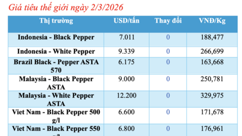 Giá tiêu hôm nay 2/3/2026: Thị trường lặng sóng