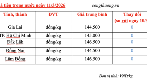 Giá tiêu hôm nay 11/3/2026: Tiếp tục đi ngang