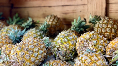 Giá nông sản hôm nay 16/4/2026: Nhiều mặt hàng biến động mạnh