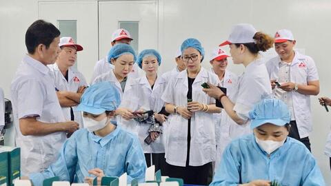 Gia Lai tích cực triển khai Nghị quyết 68 về kinh tế tư nhân