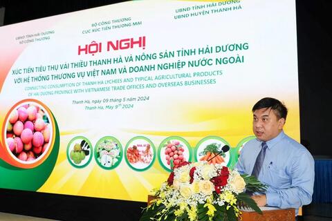 Hải Dương tích cực xúc tiến thương hiệu vải thiều Thanh Hà