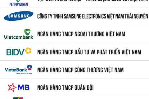 Nhiều ông lớn tiếp tục góp mặt trong TOP 500 Doanh nghiệp lợi nhuận tốt nhất Việt Nam năm 2025