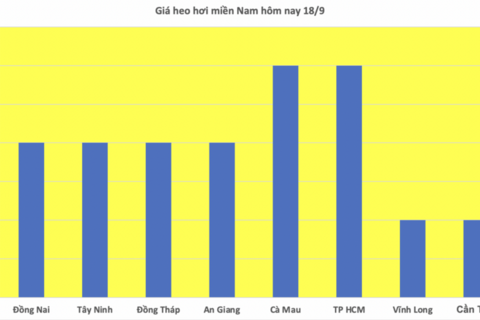 Giá heo hơi hôm nay 18/9/2025: Miền Bắc giảm tới 2.000 đồng/kg
