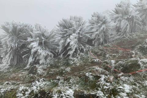 Không khí lạnh kết hợp nhiễu động gió Đông, cảnh báo mưa lớn diện rộng