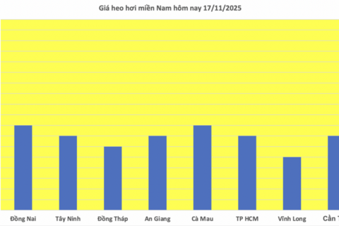 Giá heo hơi hôm nay 17/11/2025: Lặng sóng cả 3 miền