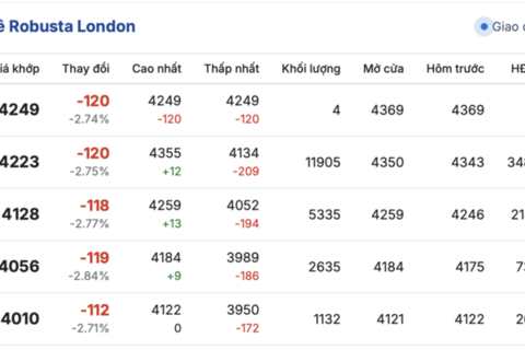 Giá cà phê hôm nay 17/11/2025: Trong nước đi ngang