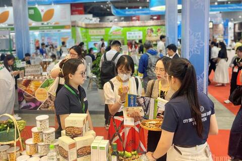 Xúc tiến thương mại mở lối cho nông sản Gia Lai vươn xa