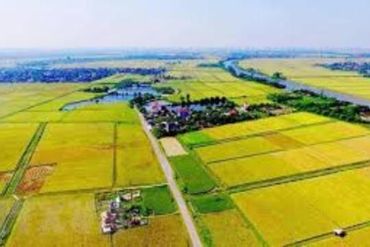 Kéo dài thời hạn miễn thuế sử dụng đất nông nghiệp
