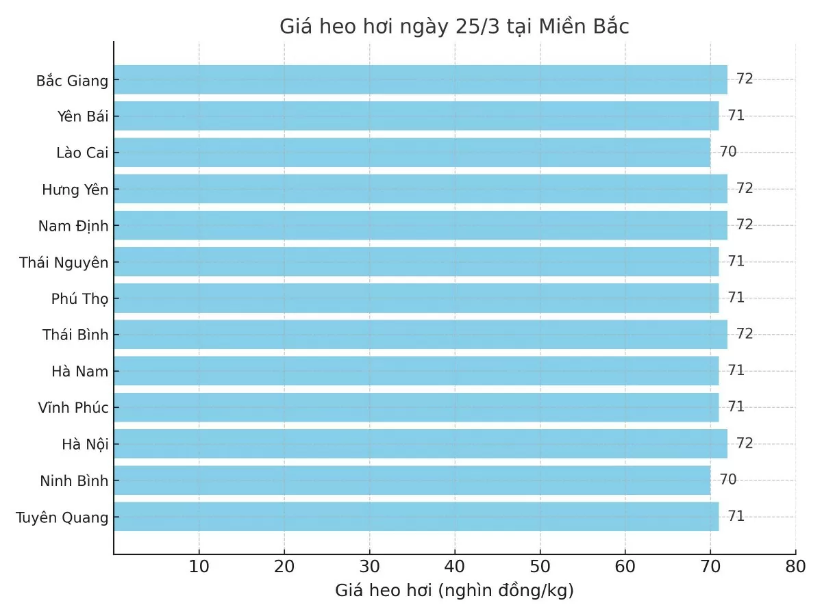 Biểu đồ giá heo hơi tại các tỉnh miền Bắc ngày 25/3.