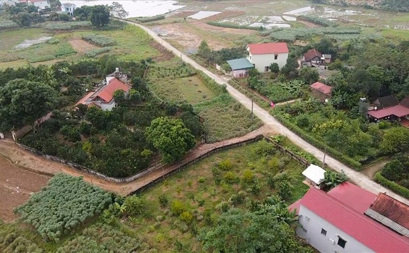 Thời gian qua, phân khúc đất nền ghi nhận nhiều diễn biến đáng chú ý về giá và mức độ quan tâm. Ảnh: Phan Anh