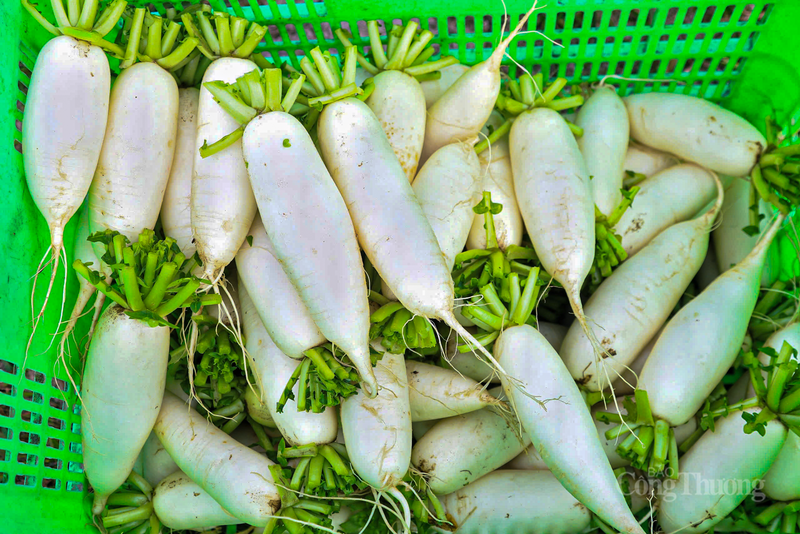 Theo các tiểu thương, nhu cầu tiêu thụ rau củ sạch tại các thị trường lớn như chợ TP. Hà Tĩnh (cũ), Nghệ An và các khu công nghiệp đang tăng mạnh. Vì vậy, giá củ cải cũng tăng lên.