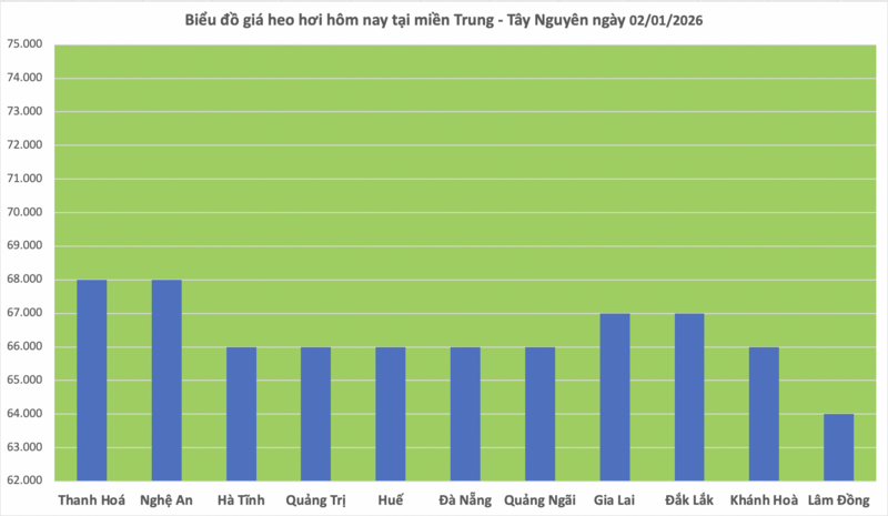 Giá heo hơi hôm nay 2/01/2026: Thị trường ảm đạm  - 2
