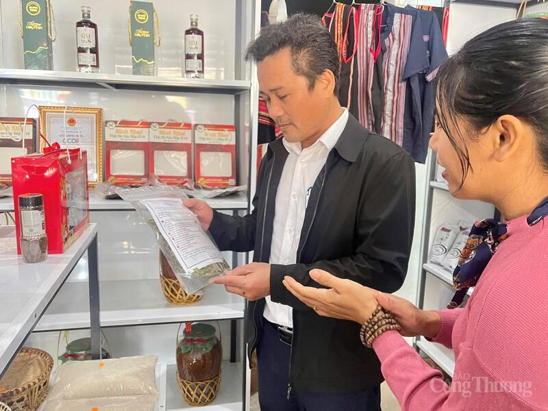 Ông Lê Phước Lưu, Phó Chủ tịch UBND xã An Vinh tham quan mô hình.