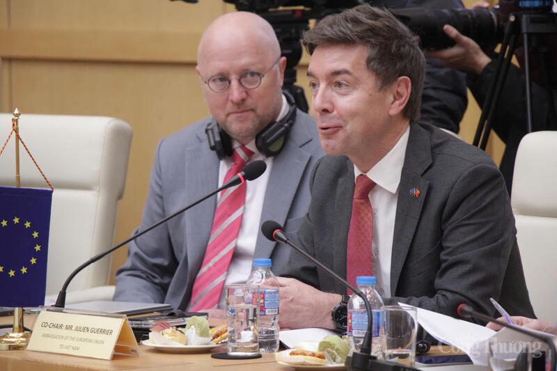 Ngài Julien Guerrier, Đại sứ - Trưởng Phái đoàn EU tại Việt Nam đồng chủ trì.