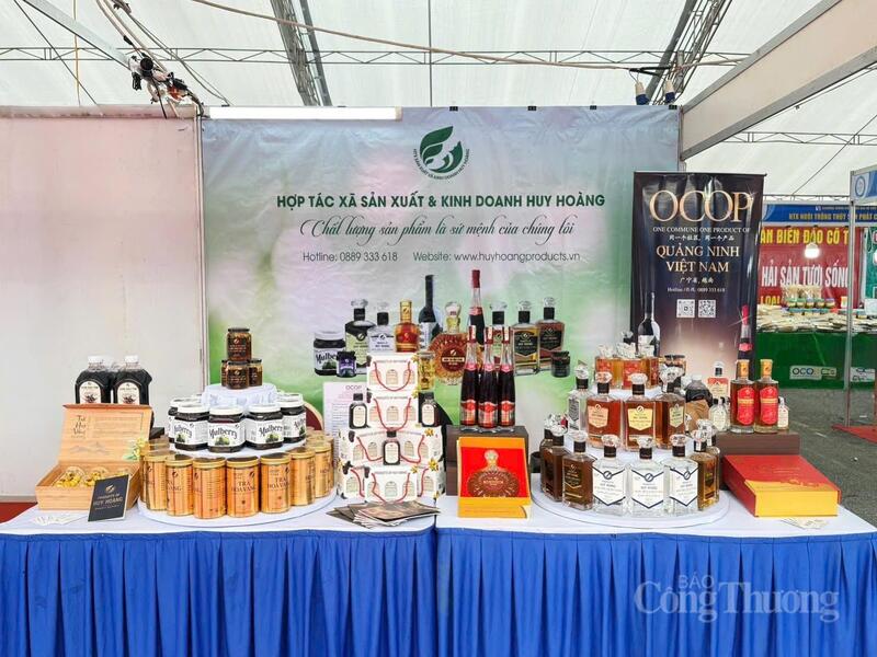 Hợp tác xã Huy Hoàng (Quảng Ninh) sẵn sàng Hội chợ - Xuân OCOP 2026.