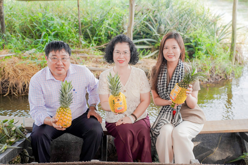 Bà Nguyễn Thị Minh Huyền (ở giữa) - Phó Cục trưởng Cục Thương mại điện tử và Kinh tế số, Bộ Công Thương, bà Trần Thị Tân (bên phải) - Giám đốc Trách nhiệm xã hội TikTok Shop, ông Đặng Văn Tuấn, Phó Giám đốc Sở Công Thương Đồng Tháp trên sóng livestream tại vườn dứa. Ảnh: TT