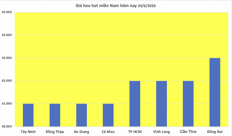 Giá heo hơi hôm nay 24/6/2026: Giảm rải rác tại miền Trung, miền Nam - 3