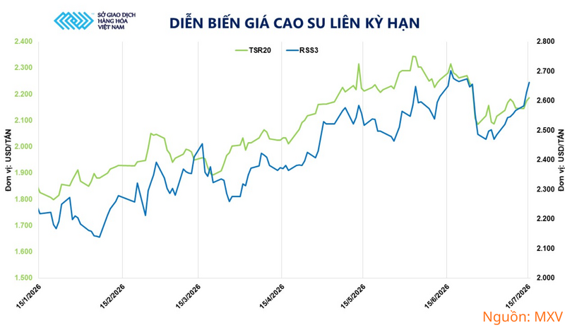 Diễn biến giá cao su liên kỳ hạn.