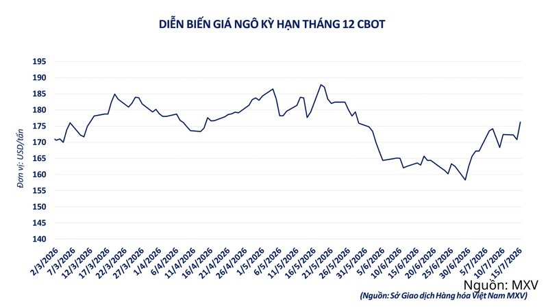 Diễn biến giá ngô kỳ hạn