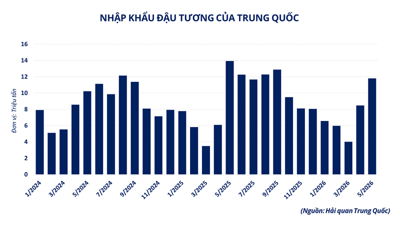 Nhập khẩu đậu tương của Trung Quốc.