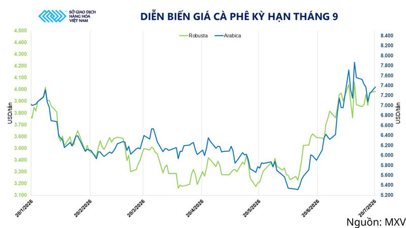 Diễn biến giá cà phê kỳ hạn tháng 9.