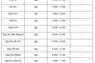 Giá lúa gạo hôm nay ngày 14/2 và tuần qua:  Đài Thơm 8  được Philippines ưa chuộng
