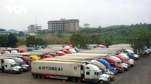 Nông dân vừa lo sản xuất vừa lo bán hàng, ùn tắc nông sản còn khó gỡ