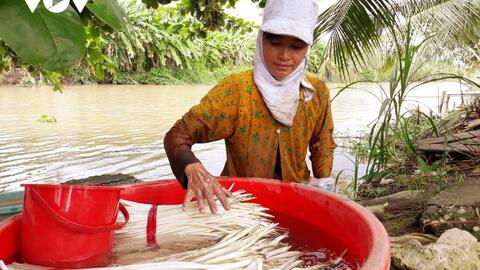 Nhiều mô hình kinh tế hiệu quả của phụ nữ Khmer Sóc Trăng