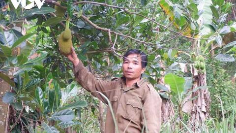 Quảng Nam xây dựng nhiều mô hình kinh tế giúp đồng bào DTTS thoát nghèo