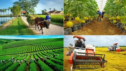 Ứng phó biến đổi khí hậu gắn với giảm nghèo bền vững