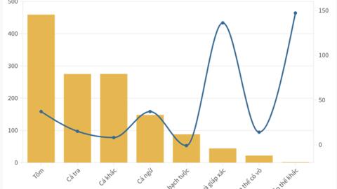 Xuất khẩu thuỷ sản đạt 1,3 tỷ USD, tăng 23% nhưng vẫn còn mối lo thẻ vàng
