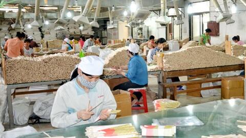 Tuyên Quang đề nghị tăng nguồn vốn hỗ trợ cho đầu tư hạ tầng cụm công nghiệp