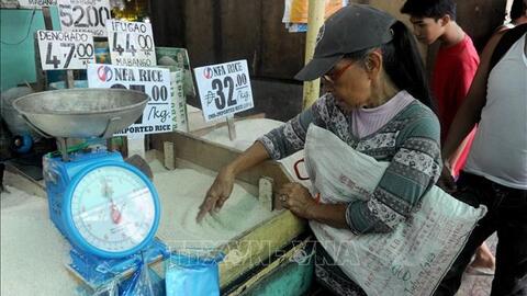 Nhu cầu nhập khẩu gạo từ Philippines tăng mạnh