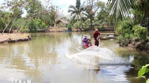 Phát triển sản phẩm, dịch vụ du lịch đặc trưng Xứ Dừa