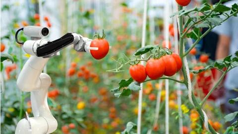 Robot nông nghiệp: Thông minh và thách thức