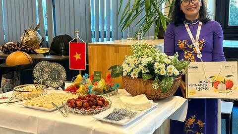 Việt Nam - Áo: ‘Bắt mạch’ dòng chảy thương mại mới thời EVFTA