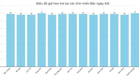 Giá heo hơi hôm nay 6/6/2025: Giữ mặt bằng giá cao