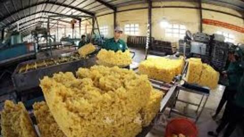 Xuất khẩu nông, lâm, thủy sản 6 tháng đạt gần 34 tỷ USD