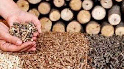 Xuất khẩu viên nén: Tăng trưởng 2 con số và 5 thách thức lớn