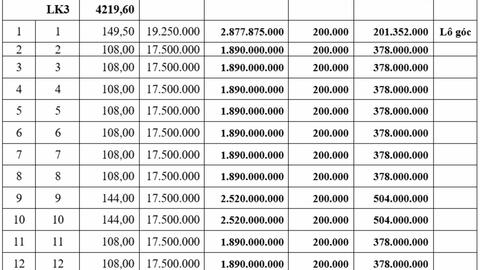 Sắp đấu giá 327 lô đất tại Hưng Yên, khởi điểm từ 648 triệu đồng/lô
