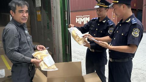 Tiết kiệm gần 1 triệu USD cho một lô hàng xuất khẩu