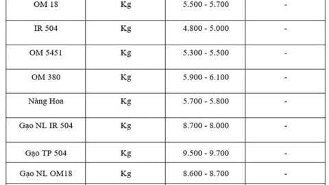 Giá lúa gạo hôm nay ngày 24/10: Gạo bình ổn, Lúa tươi vững giá